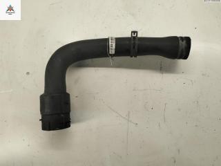 патрубок радиатора Volkswagen Passat B5 [рестайлинг] 2001, 1.6 л., бензин, 8D0121101K