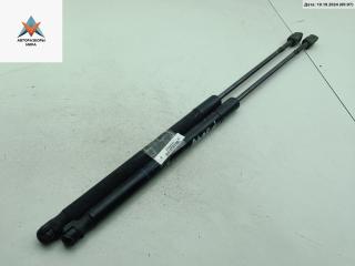 амортизатор крышки багажника (3-5 двери) Dacia (Renault) Sandero I 2009, 1.4 л., бензин, МКПП, синий, хетчбэк 5 дв., 8200735264