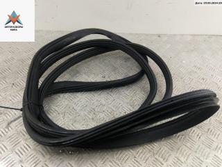 уплотнитель двери Ford B-max 1 поколение 2013, 1.0 л., бензин, МКПП, красный, минивэн