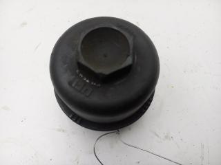 крышка масляного стакана Opel Insignia 1 поколение (A) 2012, 2.0 л., дизель, МКПП, красный, хетчбэк 5 дв.
