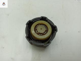 пробка расширительного бачка Renault Clio 3 поколение 2006, 1.4 л., бензин, МКПП, серый, хетчбэк 3 дв.