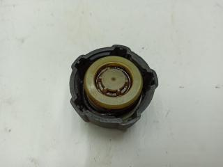 пробка расширительного бачка Renault Clio 3 поколение 2006, 1.4 л., бензин, МКПП, серый, хетчбэк 3 дв.