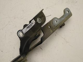 петля капота правая Citroen C2 1 поколение 2004, чёрный, хетчбэк 3 дв., 9652877580, 0000791336