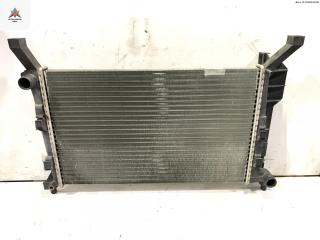 радиатор охлаждения Mercedes-Benz A-Класс W169 2005, 1.5 л., бензин, МКПП, красный, хетчбэк 3 дв., 1695000303