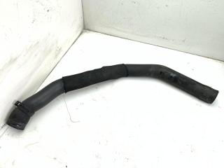 патрубок радиатора Mercedes-Benz A-Класс W169 2005, 2.0 л., дизель, 1695011062