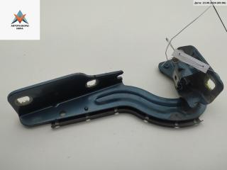 петля капота правая Renault Scenic 1 поколение 1998, синий, минивэн, 7700843530