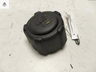 пробка расширительного бачка Renault Scenic 1 поколение [рестайлинг] 2001, 1.6 л., бензин, МКПП, серый, минивэн, 8200048024