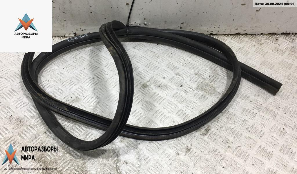 уплотнитель двери Ford Focus 2 поколение 2005, 1.6 л., i, бензин, МКПП, серый, хетчбэк 5 дв. - фото №1