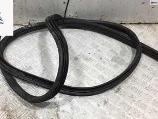 уплотнитель двери Ford Focus 2 поколение 2005, 1.6 л., i, бензин, МКПП, серый, хетчбэк 5 дв.