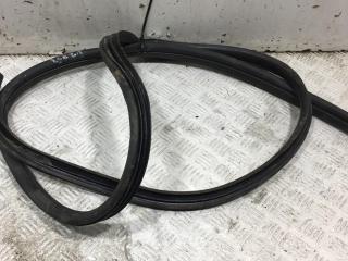 уплотнитель двери Ford Focus 2 поколение 2005, 1.6 л., i, бензин, МКПП, серый, хетчбэк 5 дв.