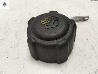 пробка расширительного бачка Renault Scenic 2 поколение [рестайлинг] 2006, 1.9 л., дизель, МКПП, серый, минивэн, 8200048024