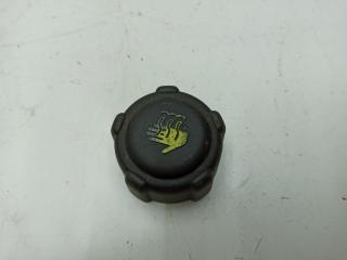 пробка расширительного бачка Renault Megane 1 поколение [рестайлинг] 2002, 1.6 л., бензин, МКПП, зелёный, универсал