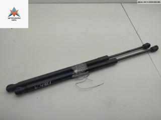 амортизатор крышки багажника (3-5 двери) Opel Insignia 1 поколение (A) 2009, 1.8 л., бензин, МКПП, белый, хетчбэк 5 дв., 13321298