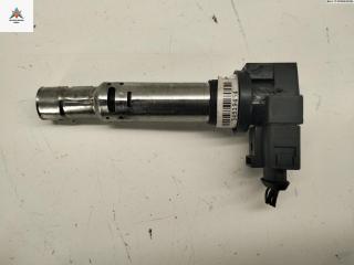 катушка зажигания Skoda Fabia 1 поколение (6Y) 2003, 1.4 л., бензин, МКПП, синий, хетчбэк 5 дв., 0040102030