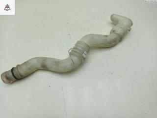 горловина бачка омывателя Renault Modus 1 поколение 2004, 1.6 л., бензин, АКПП, серый, хетчбэк 5 дв., 8200212711, 8200212714