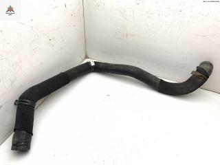 патрубок радиатора Mercedes-Benz A-Класс W169 2005, 1.5 л., бензин, 1695010182