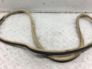уплотнитель двери BMW 7 серия E65/E66/E67 2001, 4.4 л., бензин, АКПП, чёрный, седан