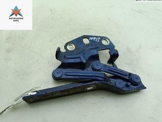 петля капота левая Volkswagen Passat B6 2006, синий, универсал, 3C0823301D