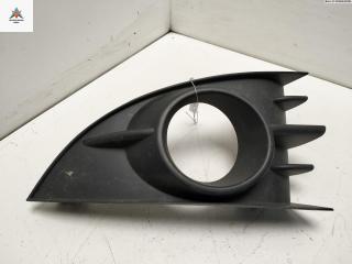 рамка фары противотуманной левой Renault Scenic 2 поколение [рестайлинг] 2006, 1.9 л., дизель, МКПП, серый, минивэн, P0009764