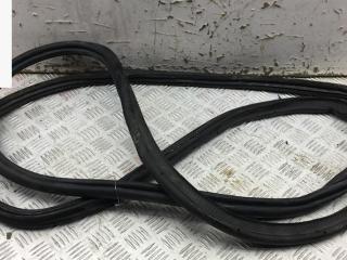 уплотнитель Ford Galaxy 1 поколение [рестайлинг] 2005, 1.9 л., дизель, МКПП, серый, минивэн