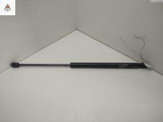 амортизатор крышки багажника (3-5 двери) Ford Focus 2 поколение 2005, 1.6 л., i, бензин, МКПП, красный, хетчбэк 5 дв., 4M51A406A10AB