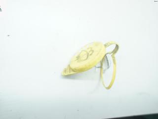 крышка бачка омывателя Ford Galaxy 1 поколение [рестайлинг] 2005, 2.8 л., бензин, МКПП, чёрный, минивэн