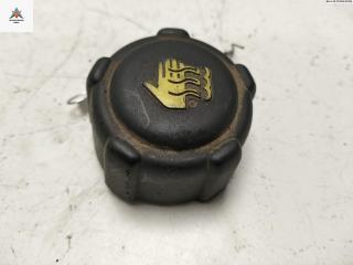 пробка расширительного бачка Renault Scenic 2 поколение 2004, 1.9 л., дизель, МКПП, синий, минивэн, 8200048024