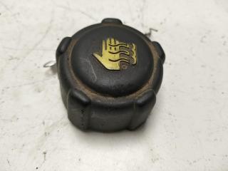 пробка расширительного бачка Renault Scenic 2 поколение 2004, 1.9 л., дизель, МКПП, синий, минивэн, 8200048024
