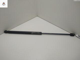 амортизатор крышки багажника (3-5 двери) Ford Focus 2 поколение 2006, 1.8 л., дизель, МКПП, серый, хетчбэк 5 дв., 1321021, 4M51A406A10AB