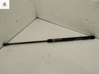 амортизатор крышки багажника (3-5 двери) Volkswagen Polo 4 поколение 2002, 1.2 л., бензин, МКПП, синий, хетчбэк 3 дв., 3C9827550A