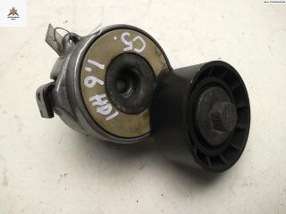 механизм натяжения ремня, цепи Citroen C5 1 поколение [рестайлинг] 2005, 1.6 л., дизель, МКПП, серый, хетчбэк 5 дв., 282610