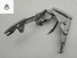 петля капота левая BMW 6 серия E63/E64 2004, серый, кабриолет