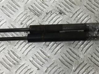 амортизатор крышки багажника (3-5 двери) BMW 3 серия E46 [рестайлинг] 2001, 2.0 л., дизель, АКПП, красный, универсал, 51248232873