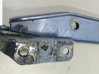 петля капота левая Audi A3 8P/8PA [рестайлинг] 2004, серый, хетчбэк 5 дв., 8P0823301