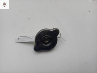 пробка расширительного бачка Opel Frontera B 1998, 2.2 л., бензин, МКПП, серый, внедорожник 5 дв.