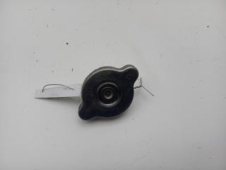 пробка расширительного бачка Opel Frontera B 1998, 2.2 л., бензин, МКПП, серый, внедорожник 5 дв.