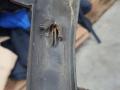 Накладка на арку задняя левая Opel Corsa C 2002, 1.2 л., бензин, робот, красный, хетчбэк 3 дв., 09114741 - фото №3