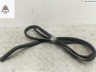 Уплотнитель крышки (двери) багажника Citroen Xsara 1 поколение [рестайлинг] 2002, 1.4 л., бензин, МКПП, серый, хетчбэк 5 дв., -