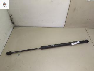 амортизатор крышки багажника (3-5 двери) Renault Scenic 2 поколение 2005, 2.0 л., бензин, МКПП, красный, минивэн