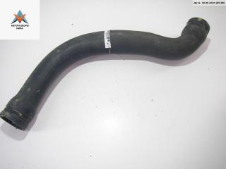 патрубок радиатора BMW 3 серия E36 [рестайлинг] 1998, 1.6 л., бензин, 1743192