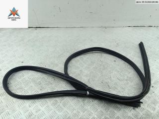 уплотнитель двери Ford Focus 2 поколение [рестайлинг] 2008, 1.6 л., i, бензин, МКПП, синий, универсал