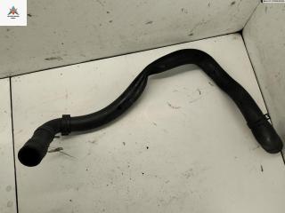 патрубок радиатора Volkswagen Bora 1 поколение 1998, 1.6 л., бензин, 1J0122051B