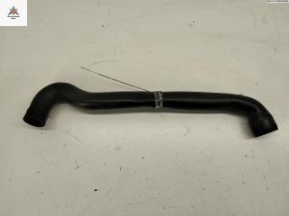 патрубок (трубопровод, шланг) Volkswagen Bora 1 поколение 2001, 1.6 л., бензин, МКПП, серый, универсал, 036103493BB