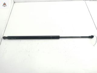 амортизатор крышки багажника (3-5 двери) BMW X5 E53 2001, 3.0 л., бензин, АКПП, зелёный, внедорожник 5 дв., 51248142405