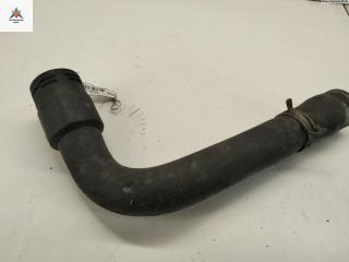 патрубок радиатора Volkswagen Passat B5 1997, 1.6 л., бензин, 8D0121101K