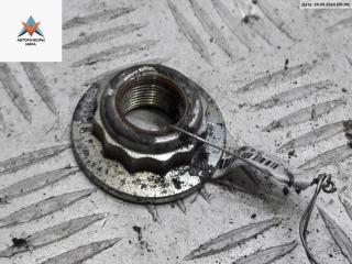 Цапфа задняя (ось ступицы) Volkswagen Fox 2 поколение [рестайлинг] 2005, 1.2 л., бензин, МКПП, серый, хетчбэк 3 дв.