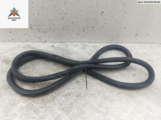 уплотнитель двери Volkswagen Tiguan 1 поколение 2008, 2.0 л., дизель, МКПП, чёрный, внедорожник 5 дв.