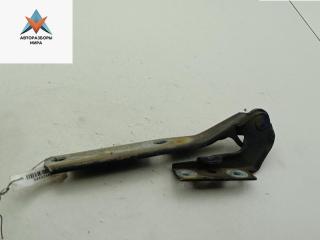 петля капота левая Skoda Superb 1 поколение [рестайлинг] 2007, синий, седан