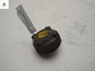 пробка расширительного бачка Fiat Ducato 2 поколение [рестайлинг] 2005, 2.3 л., дизель, МКПП, белый, микроавтобус