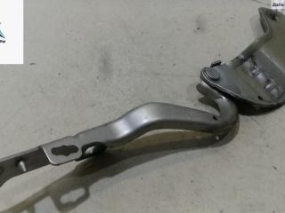 петля капота левая Renault Clio 3 поколение 2006, серый, хетчбэк 3 дв., 8200719033, 8200307816